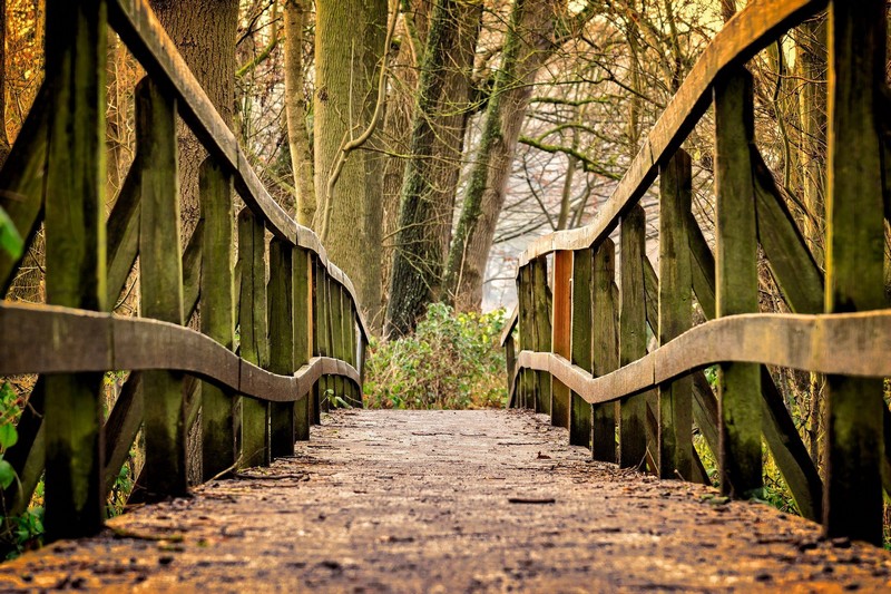 Holzbrücke