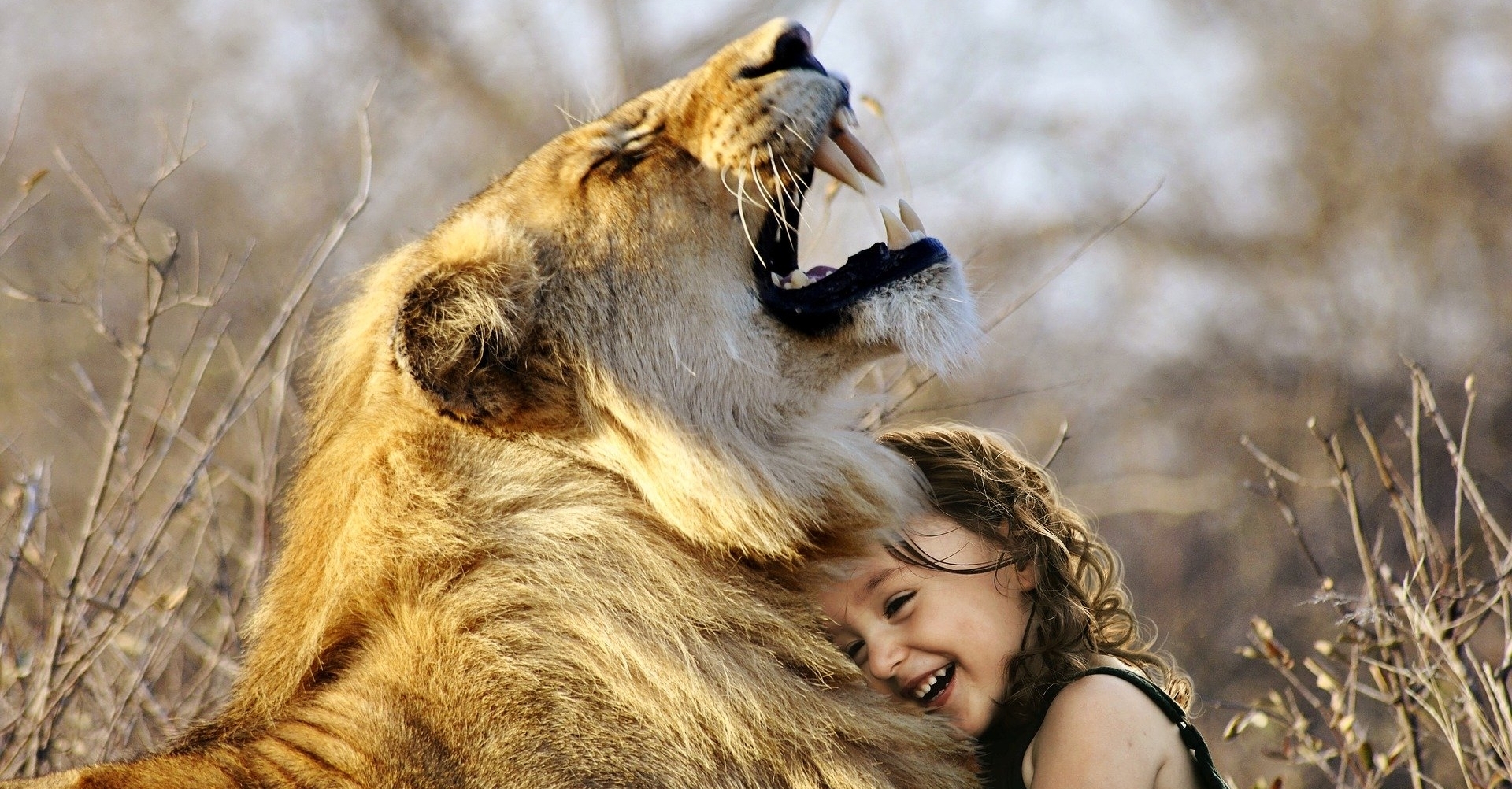 Löwe und Mädchen, Symbol für Hochsensibilität und Kraft